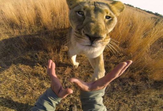 Amazing POV Photos Of Dare Devils