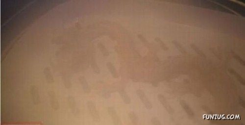 Crazy Design Of Chinese Dumplings