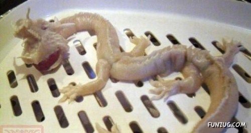 Crazy Design Of Chinese Dumplings