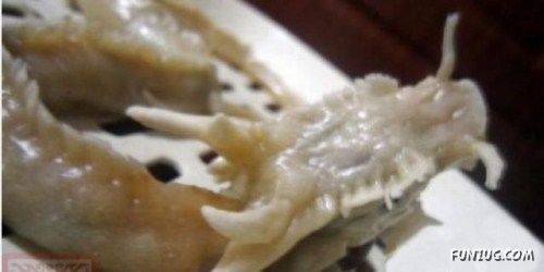 Crazy Design Of Chinese Dumplings