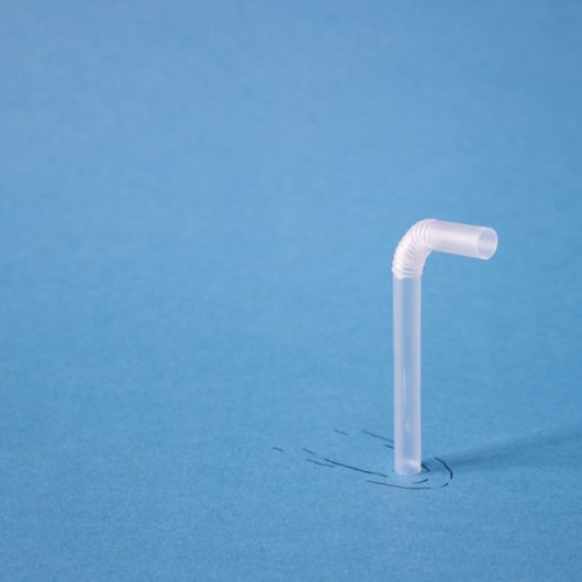 Funny Crazy Photobombs