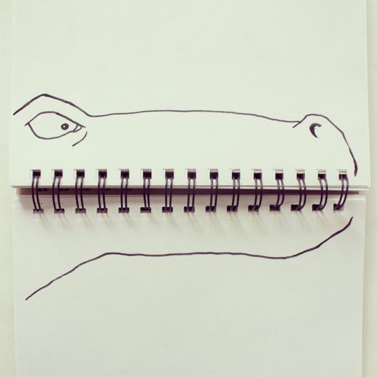 Funny Crazy Photobombs