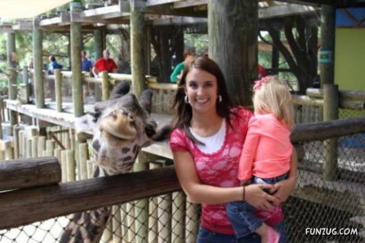 Funny Crazy Photobombs