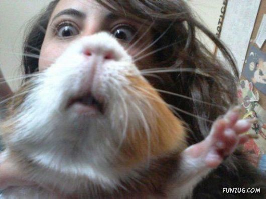 Funny Crazy Photobombs