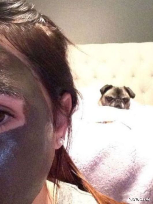 Funny Crazy Photobombs