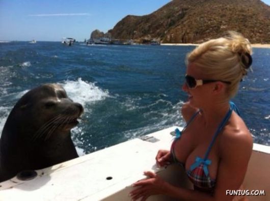 Funny Crazy Photobombs