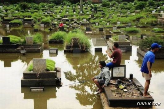 Pictures That Will Make You Say Whaaa