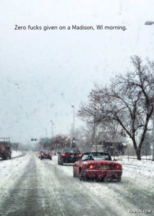 Funny Crazy Photobombs