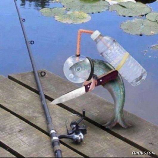 Funny Animals Like A Boss