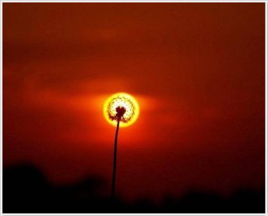 Cool Pics Gallery Of The Day