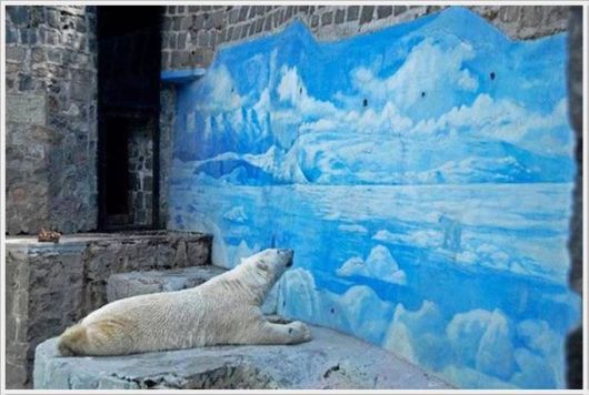 Cool Pics Gallery Of The Day