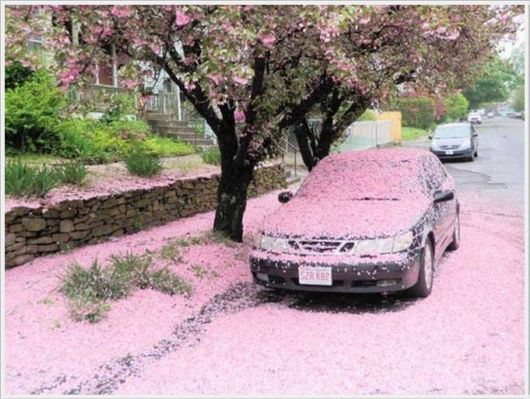 Cool Pics Gallery Of The Day