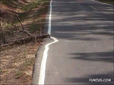 The Examples of Extreme Laziness