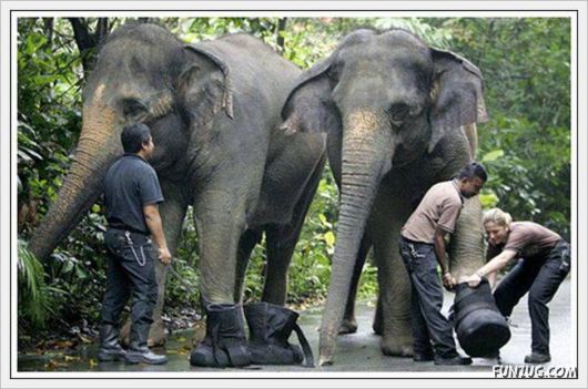 Foto Fun Cool Pictures