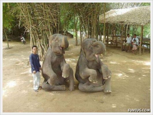 Foto Fun Cool Pictures