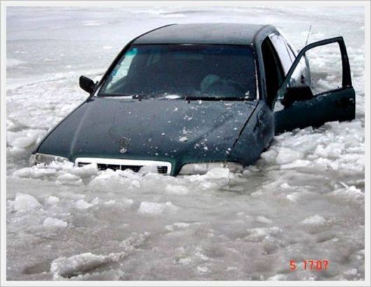 Foto Fun Cool Pictures