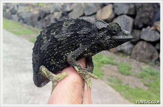 Foto Fun Cool Pictures