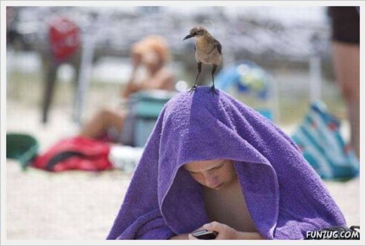 Foto Fun Cool Pictures