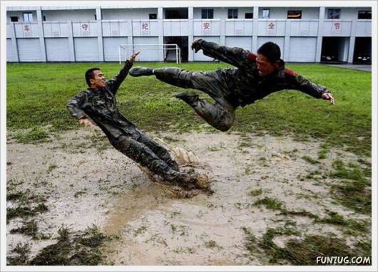 Foto Fun Cool Pictures