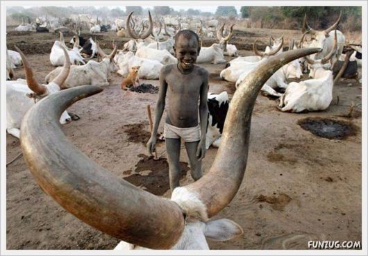 Foto Fun Cool Pictures