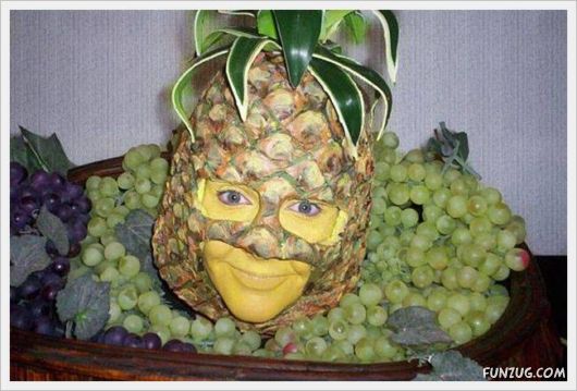 Foto Fun Cool Pictures