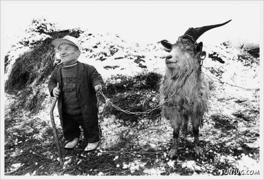 Foto Fun Cool Pictures