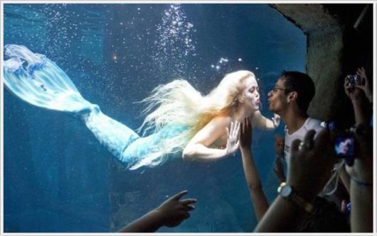 Funny Cool Pictures Dump