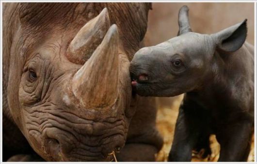 Funny Cool Pictures Dump