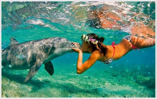 Funny Cool Pictures Dump