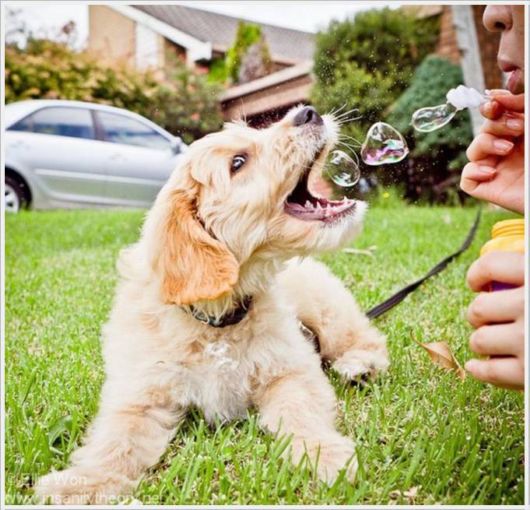 Funny Cool Pictures Dump