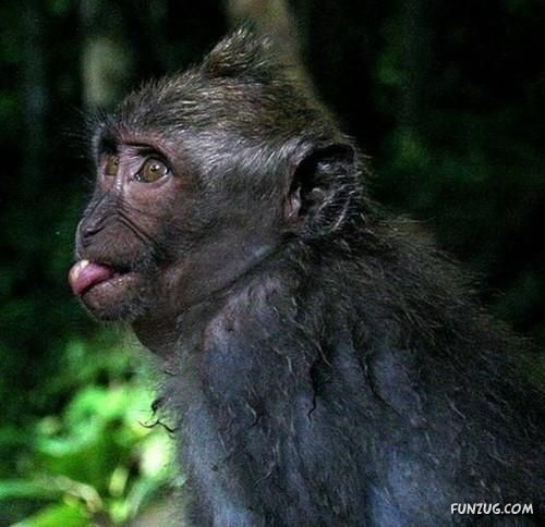 Funny Reason How Spikes Hairstyle Evolved?