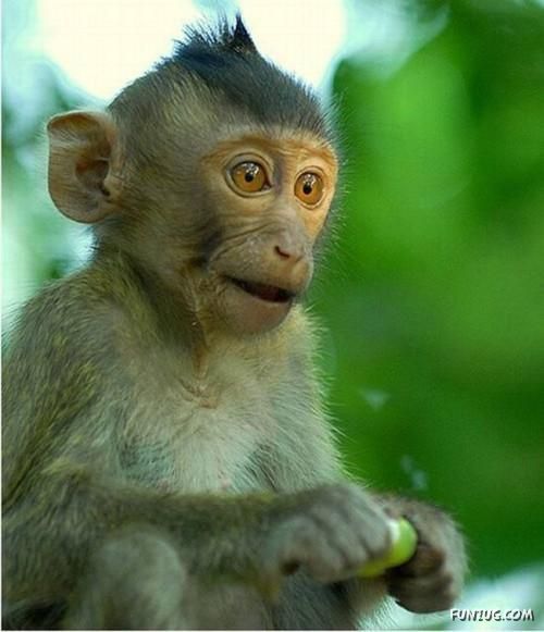 Funny Reason How Spikes Hairstyle Evolved?