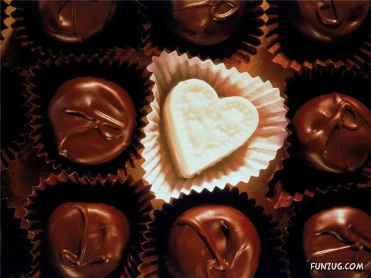 Delicious Seasons Chocolates For You