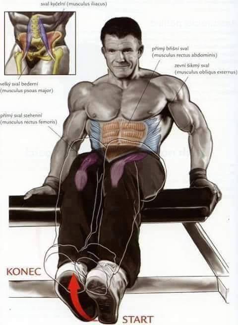 Body Building Weight Training Exercises