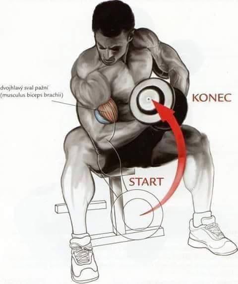 Body Building Weight Training Exercises