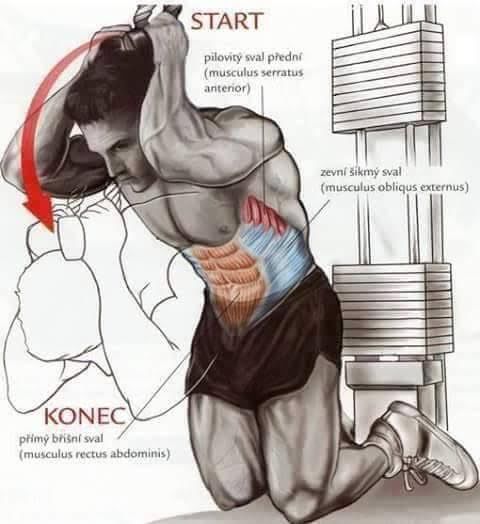 Body Building Weight Training Exercises