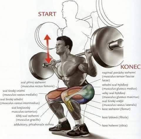 Body Building Weight Training Exercises