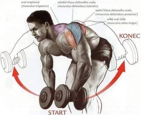Body Building Weight Training Exercises