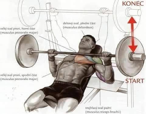 Body Building Weight Training Exercises | Funzug.com