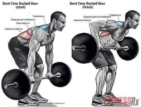 Body Building Weight Training Exercises