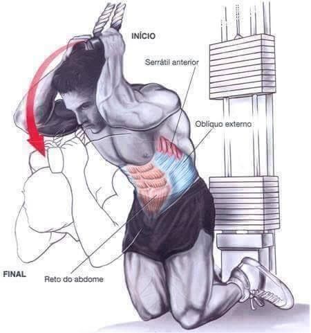 Body Building Weight Training Exercises