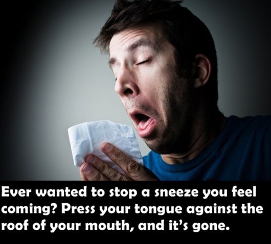 Great Life Hacks For Your Daily Life