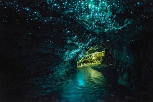 20 Interesting Photos To Make Your Day