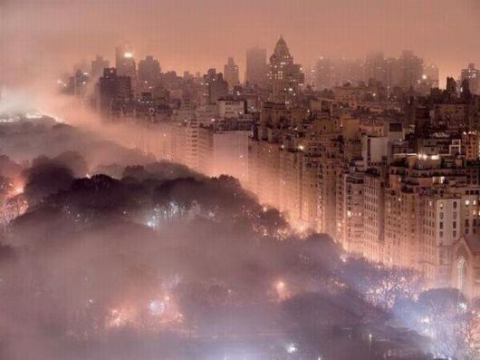 20 Interesting Photos To Make Your Day