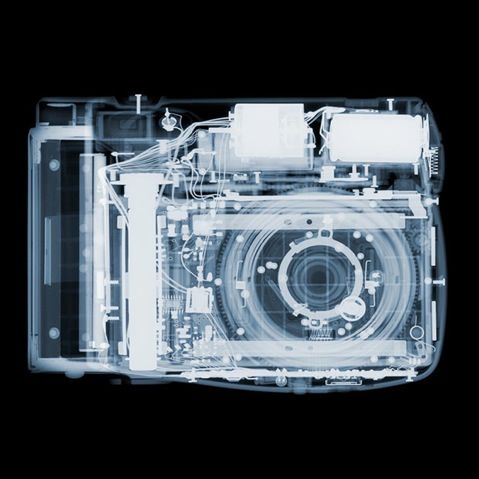 Stunning X-Ray Photographs