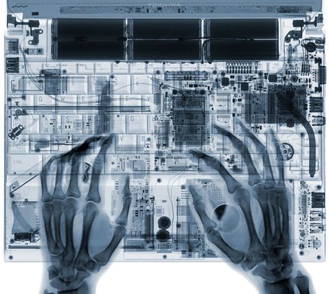 Stunning X-Ray Photographs