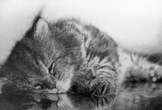 Life Like Pencil Drawings