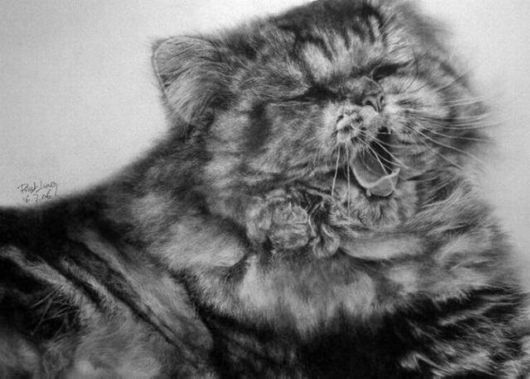 Life Like Pencil Drawings