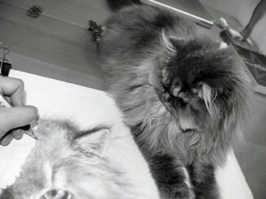 Life Like Pencil Drawings