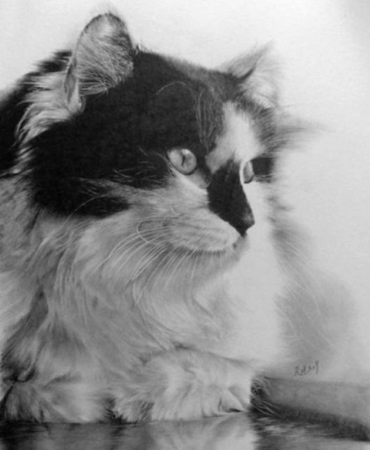 Life Like Pencil Drawings